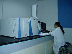 寧波市科技園區伊威特產品服務與網絡技術服務